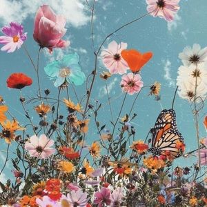 Meet your Posher, Chique A.